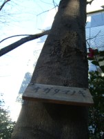 Tree sign