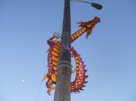 Dragons on light poles