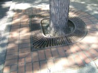 Tree grate covers